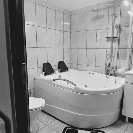 Pensiunea Micul Maramures Guest house