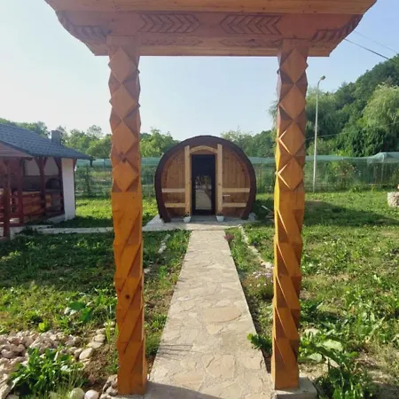 Pensiunea Micul Maramures Guest house