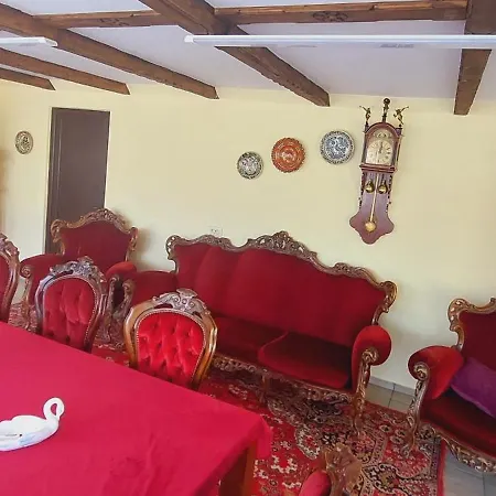 Guest house Pensiunea Micul Maramures *