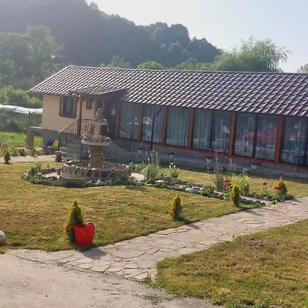 Guest house Pensiunea Micul Maramures Adunati
